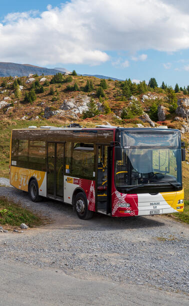 Location & getting here